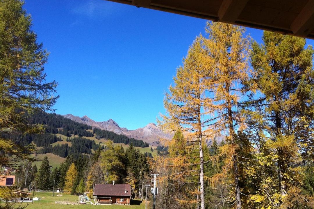 Photo of Others in Adelboden