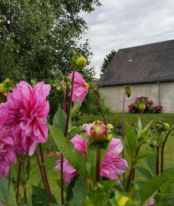 Photo of Others in Ermenonville-la-Petite