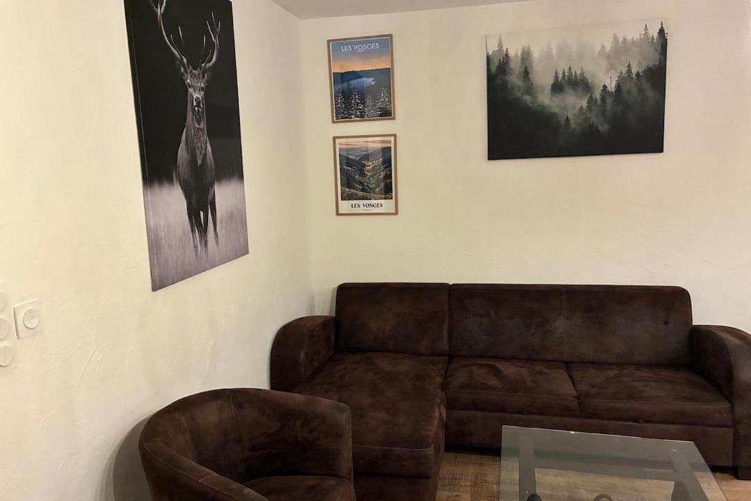 Photo of Livingroom in Fraize