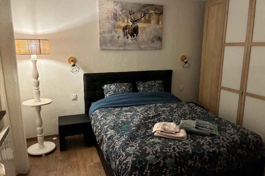 Photo of Bedroom in Fraize