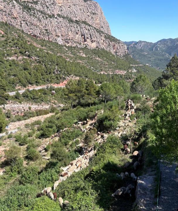 Photo of Others in Collbato