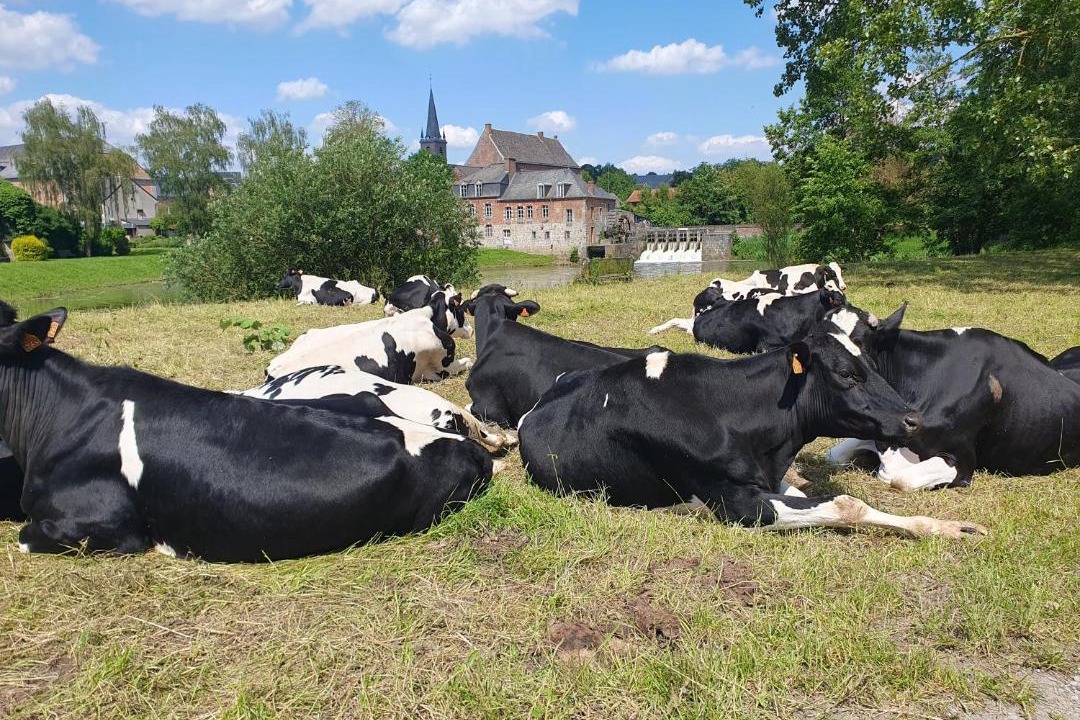 Photo of Others in Saint-Hilaire-sur-Helpe