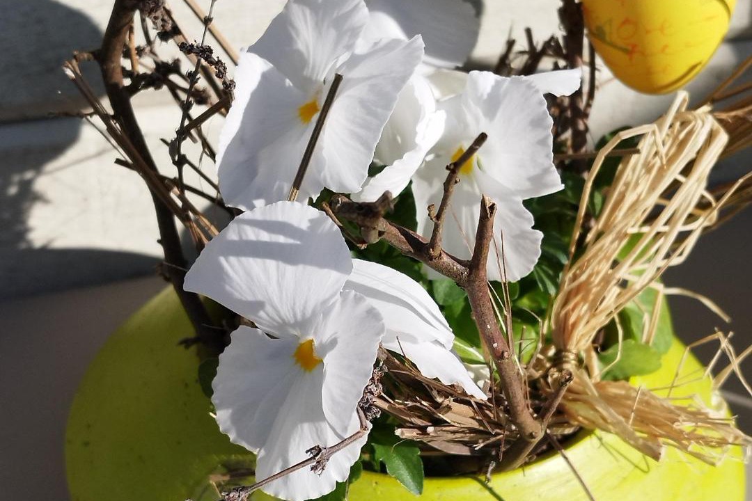 Photo of Others in Charancieu