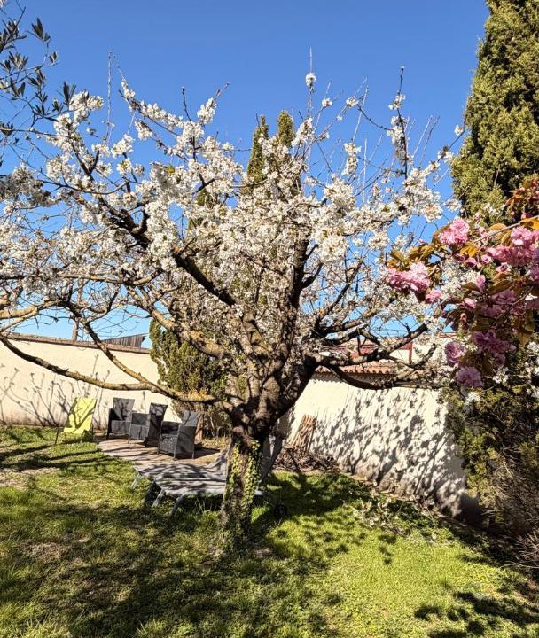 Photo of Others in Entraigues-sur-la-Sorgue