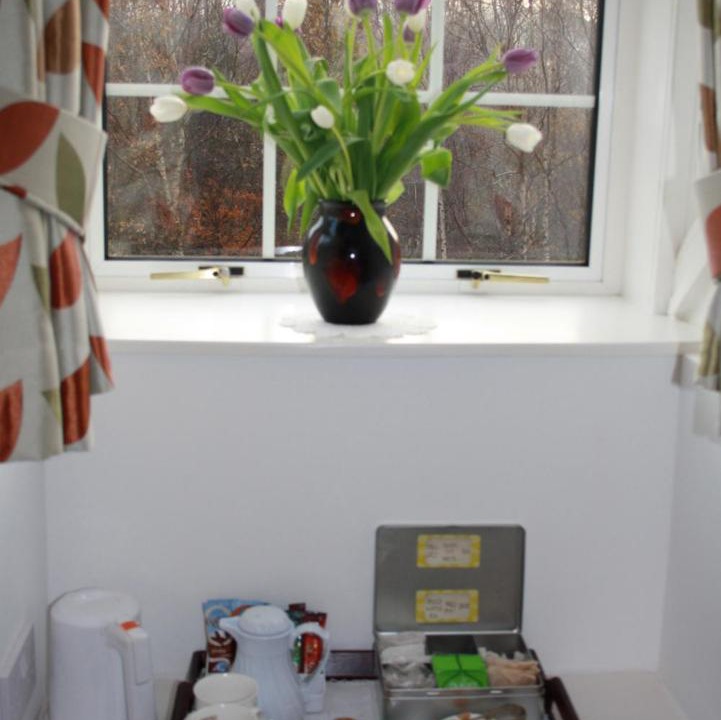 Photo of Others in Dollar