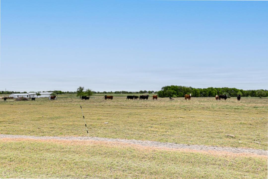 Photo of Others in Milam County
