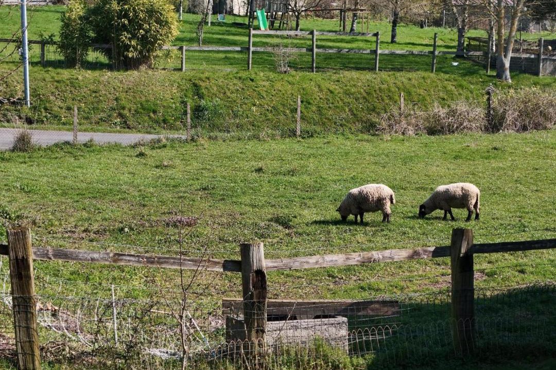 Photo of Others in Godisson