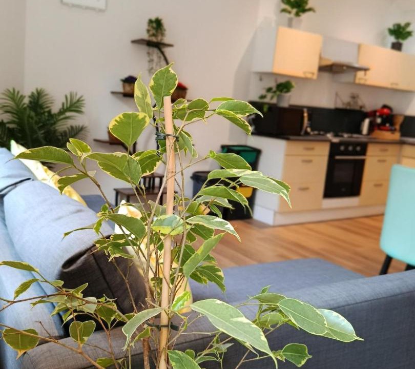Photo of Livingroom in Aubigny-sur-Nere