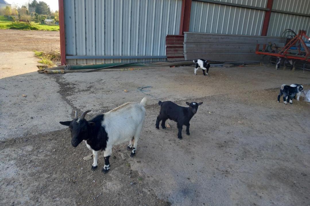 Photo of Others in Ramillies