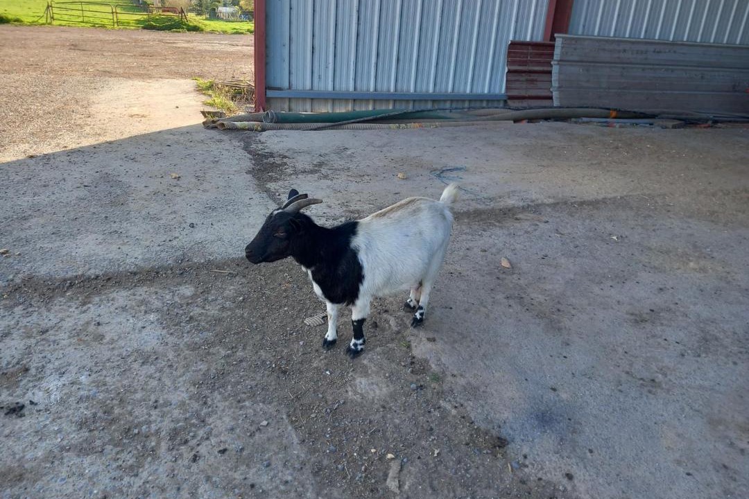 Photo of Others in Ramillies