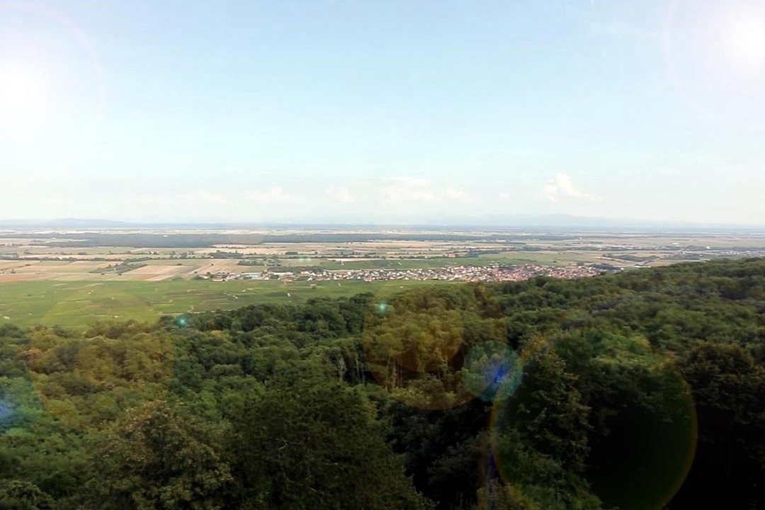 Photo of Outdoor in Gueberschwihr