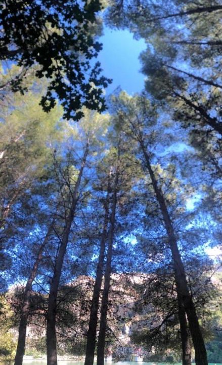 Photo of Others in Cortes de Pallas