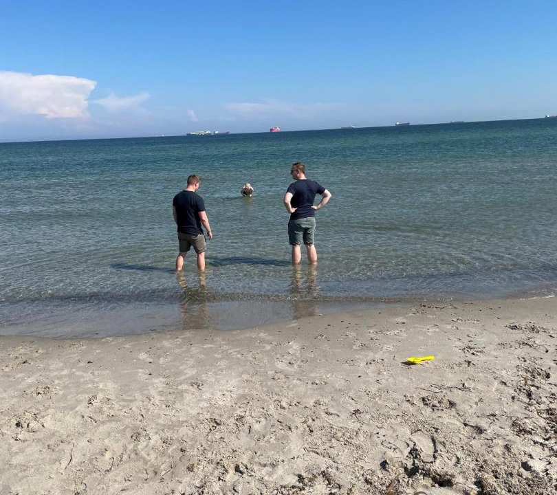 Photo of Others in Skagen