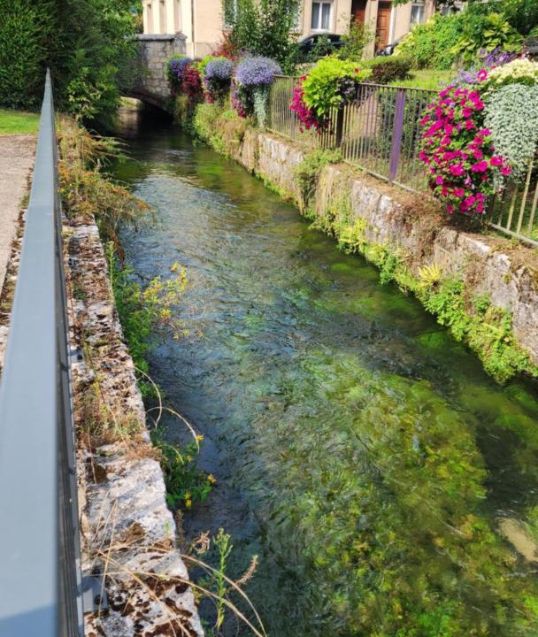 Photo of Others in Rives-en-Seine