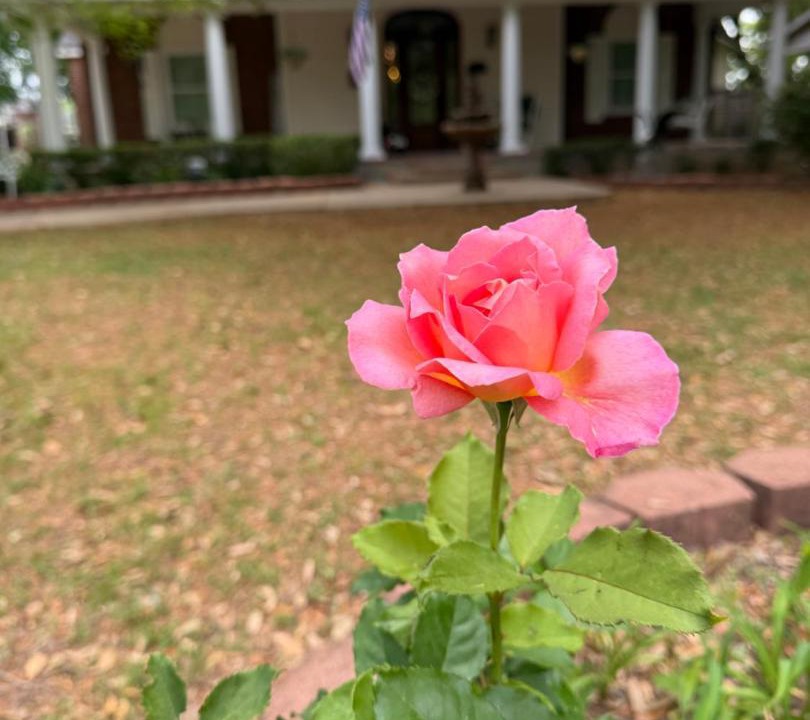 Photo of Others in Natchitoches