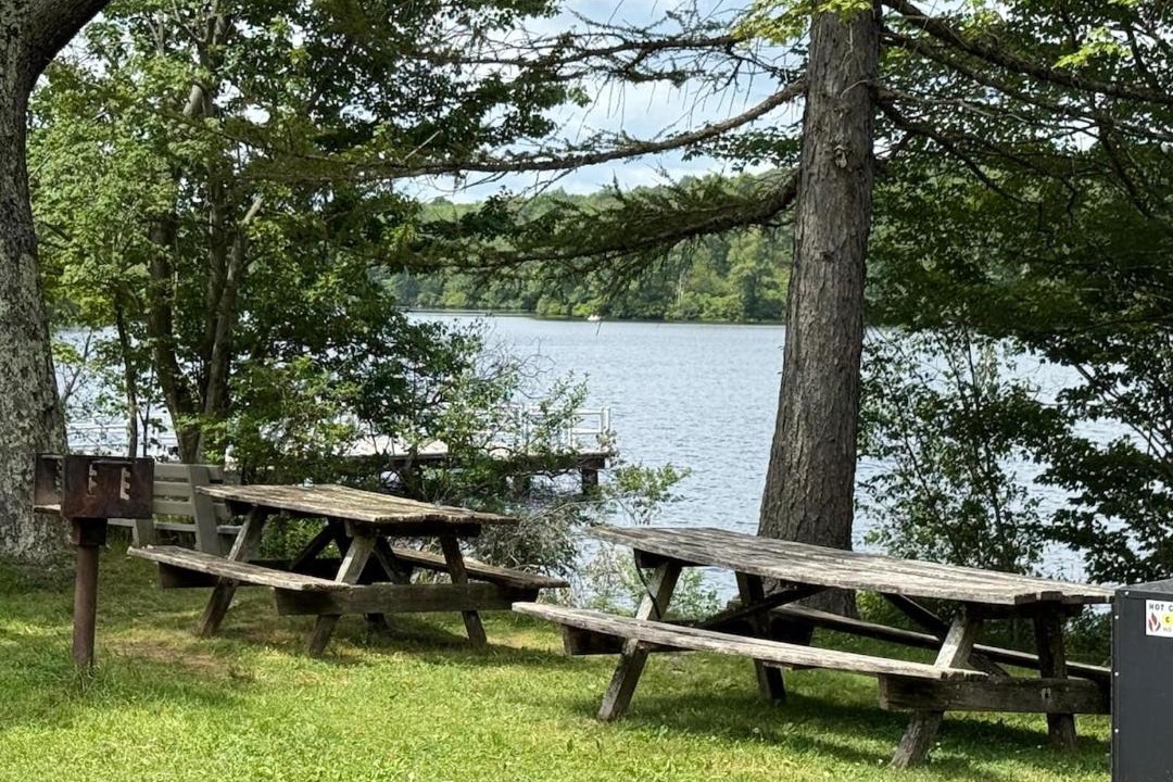 Photo of Others in Tobyhanna