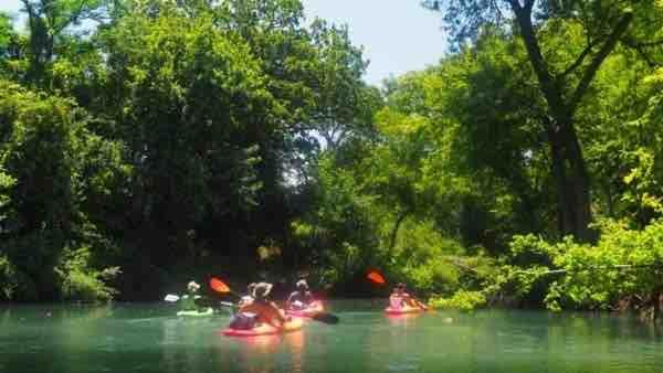 Photo of Others in Martindale