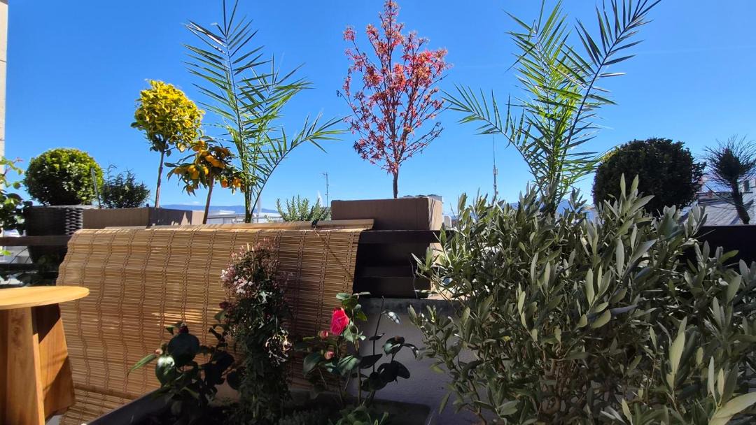 Photo of Patio Balcony in Downtown Geneva