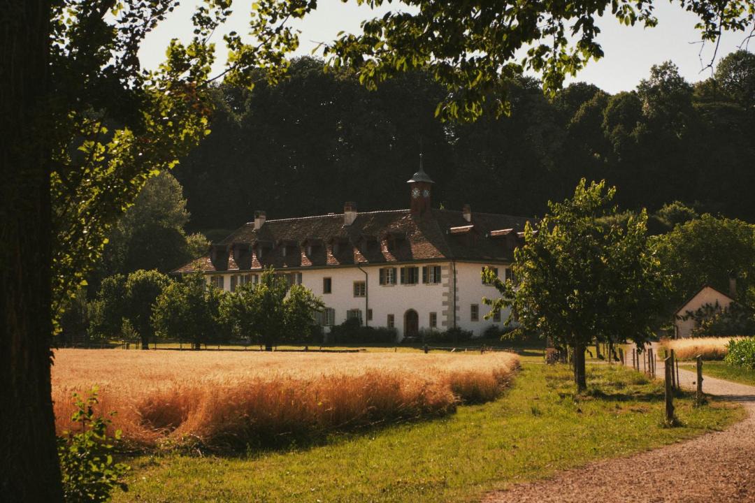 Photo of Others in Erlach