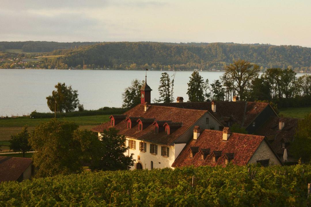 Photo of Others in Erlach
