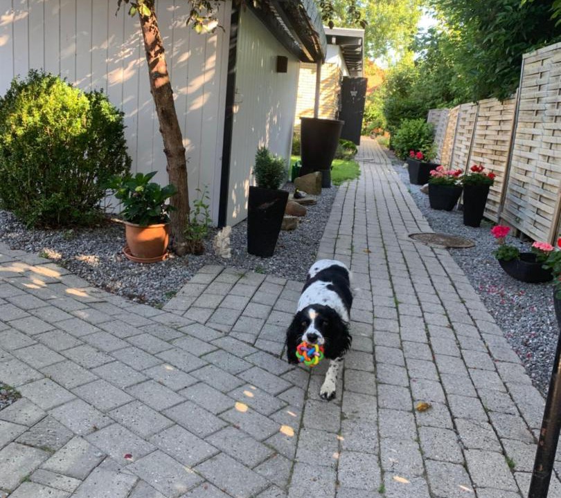 Photo of Others in Hellerup