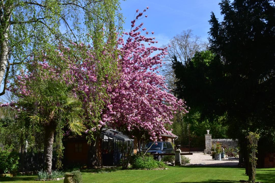 Photo of Others in Giverny