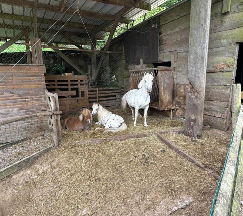 Photo of Others in Bonnemaison