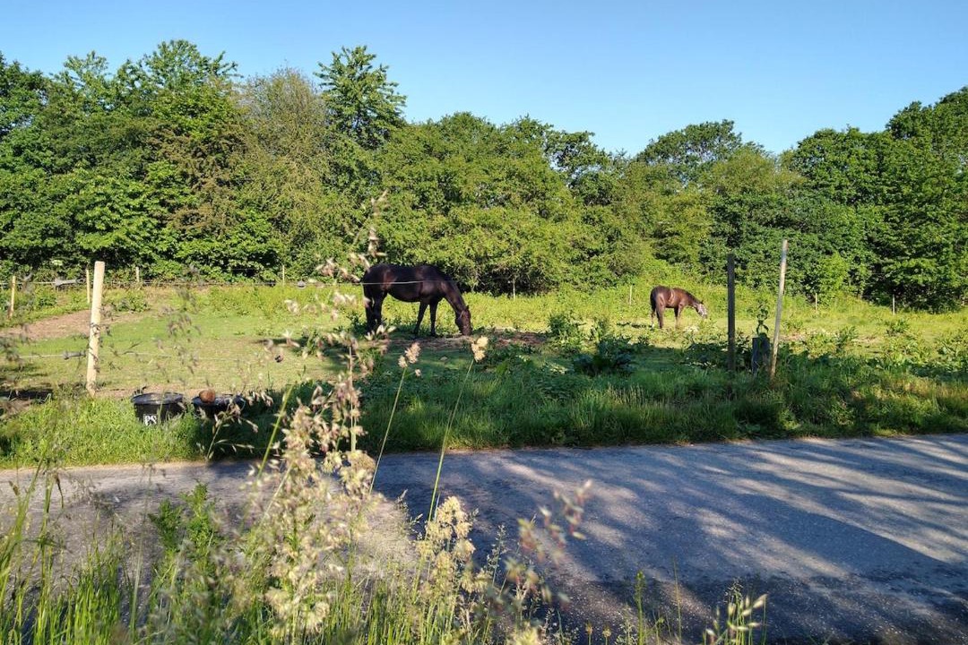 Photo of Others in Borkop