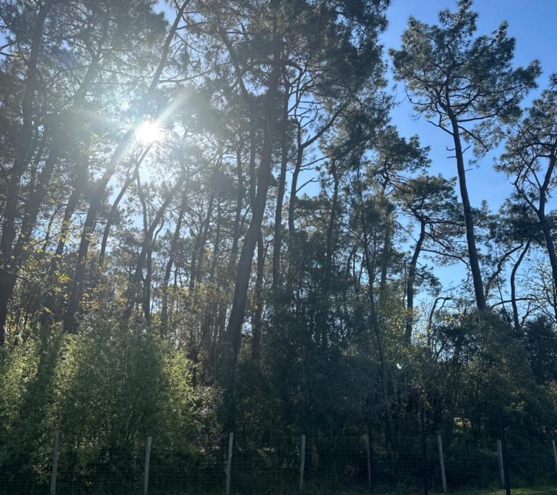 Photo of Outdoor in Sallertaine