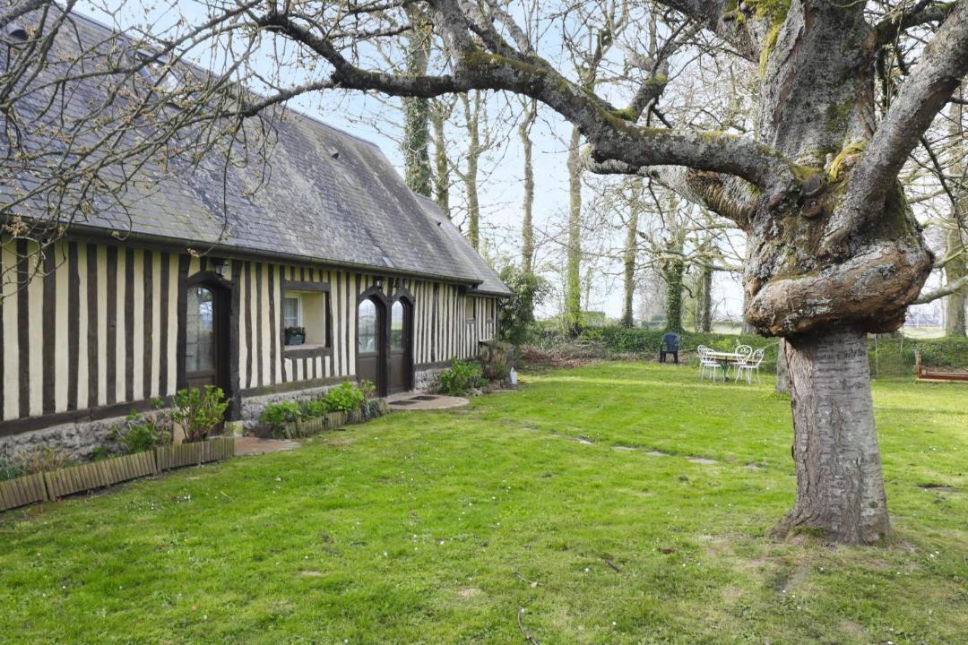 Photo of Others in Sausseuzemare-en-Caux