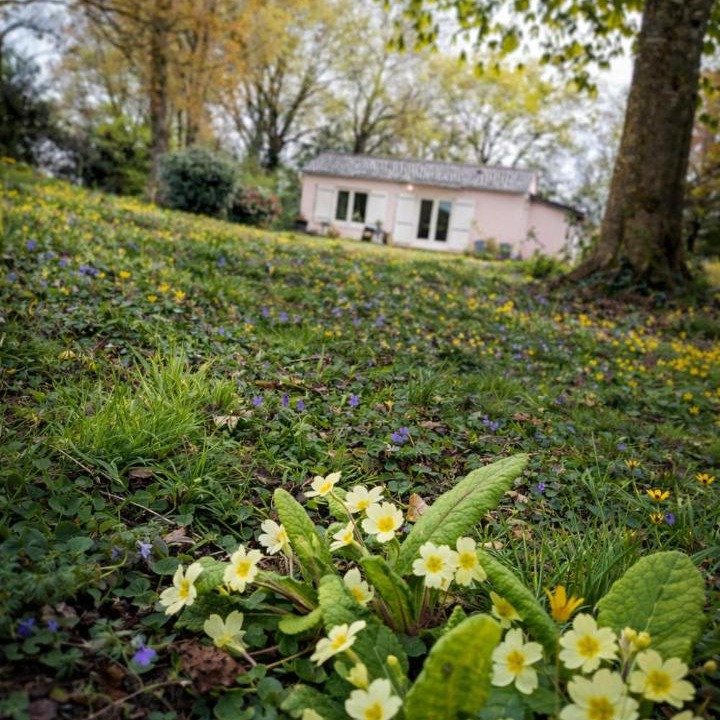 Photo of Others in La Couyere