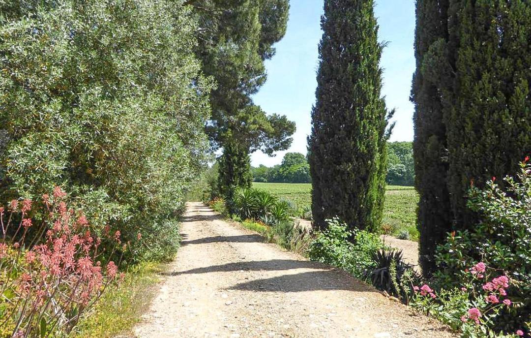 Photo of Others in Salleles-d'Aude