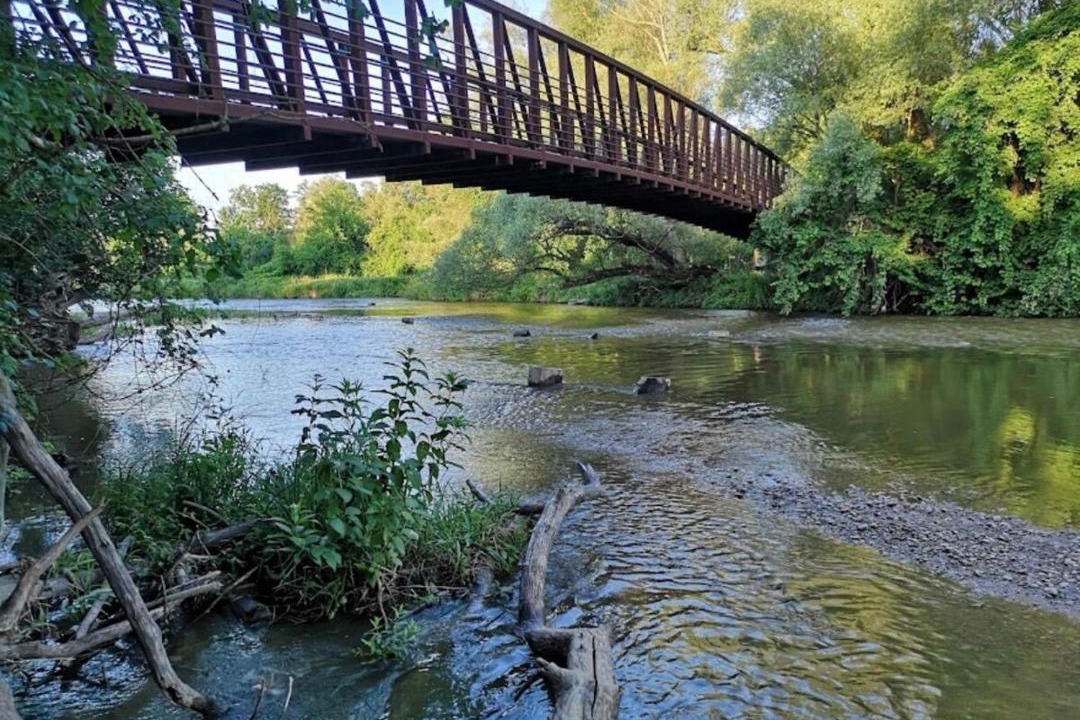 Photo of Others in Meadowvale Village