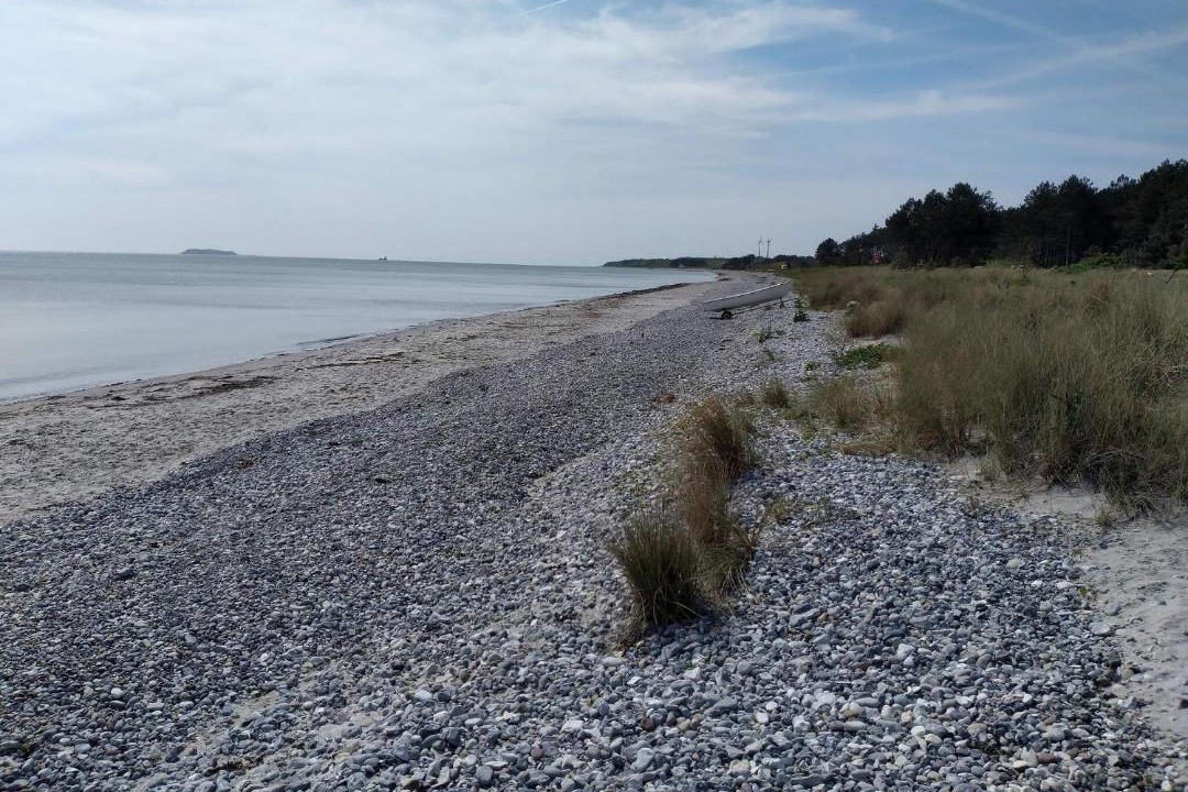 Photo of Others in Vibæk Strand