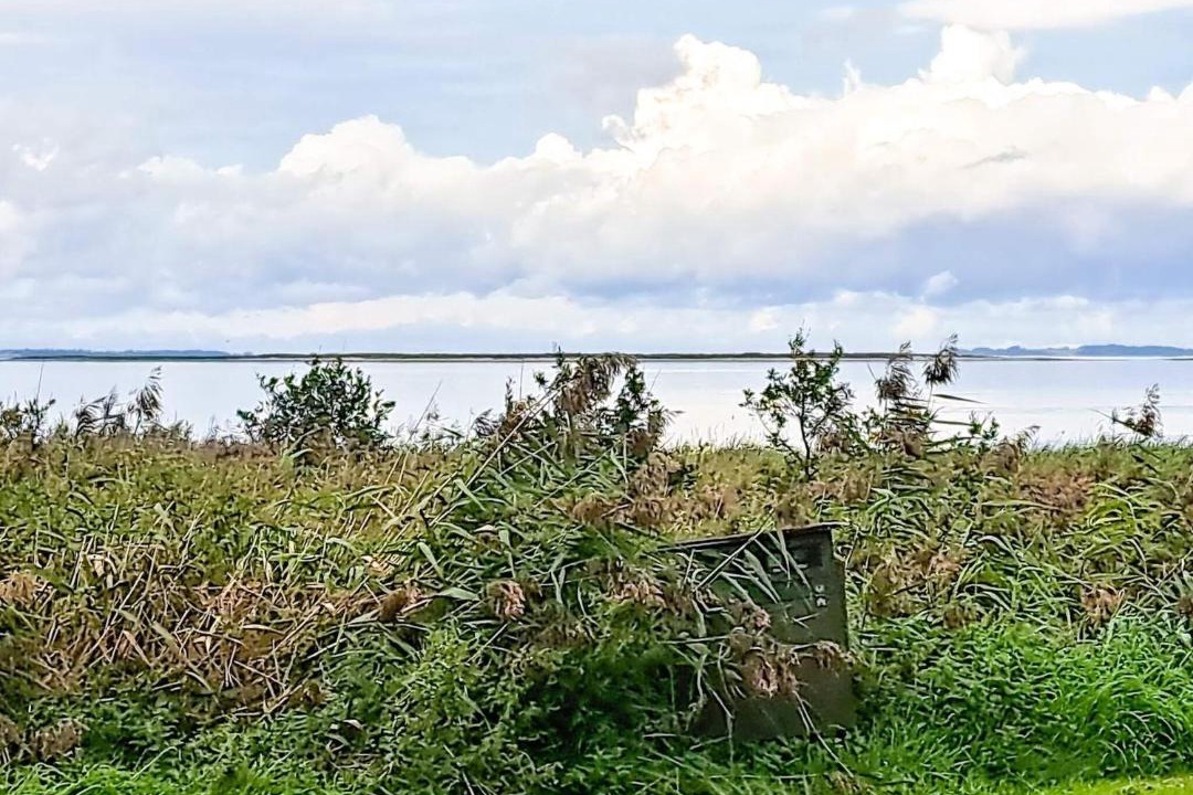 Photo of Others in Hvalpsund