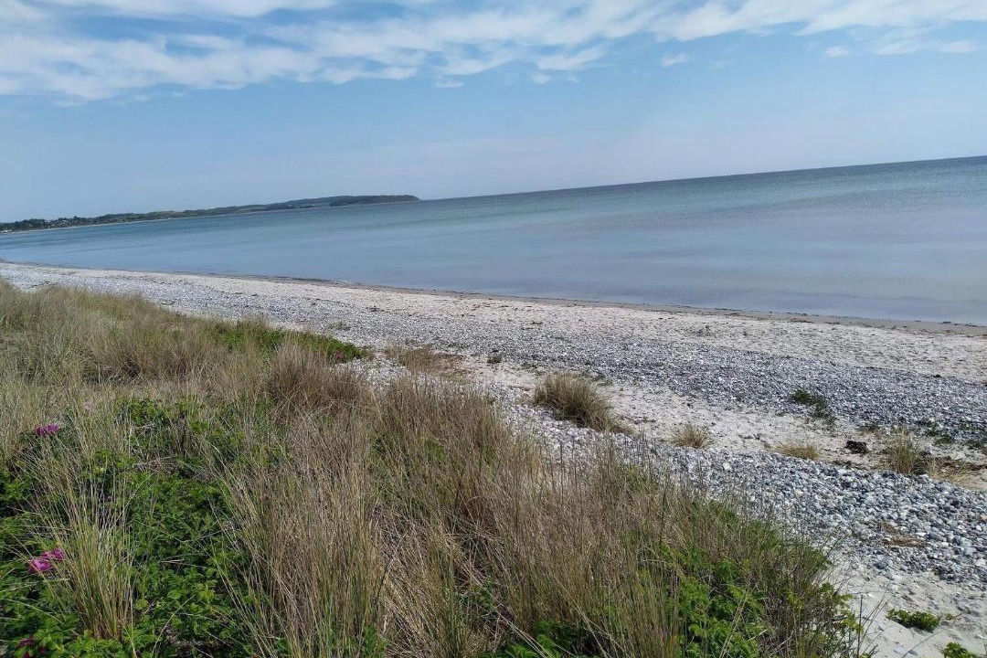 Photo of Others in Vibæk Strand