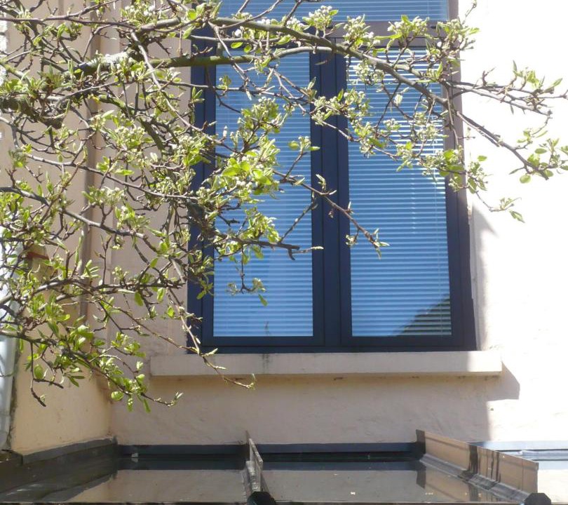 Photo of Others in Bergues