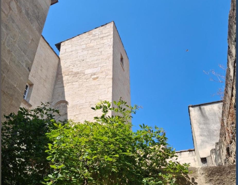 Photo of Others in Beaucaire
