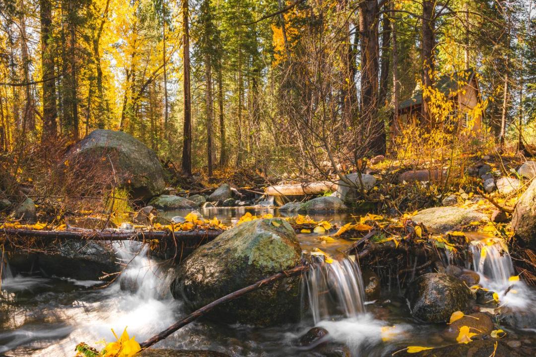 Photo of Others in Truckee