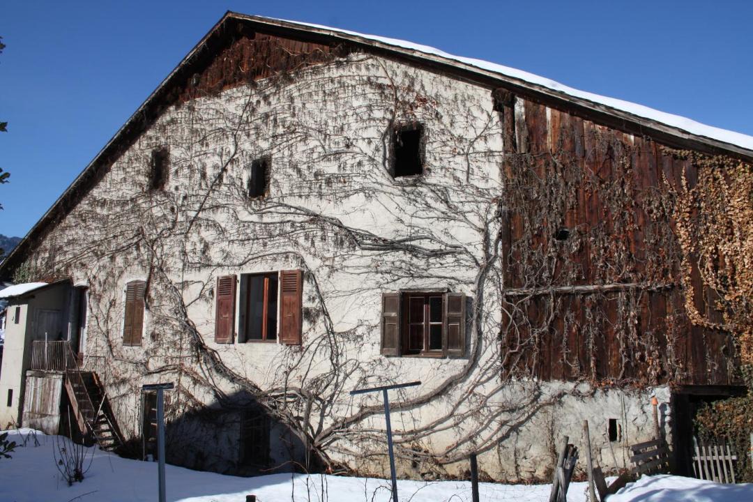 Photo of Buildings in Samoens