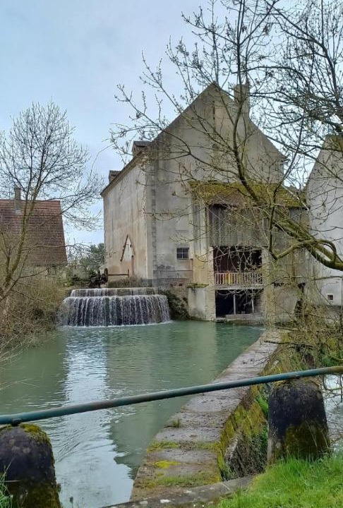 Photo of Others in Saint-Symphorien-sur-Saone
