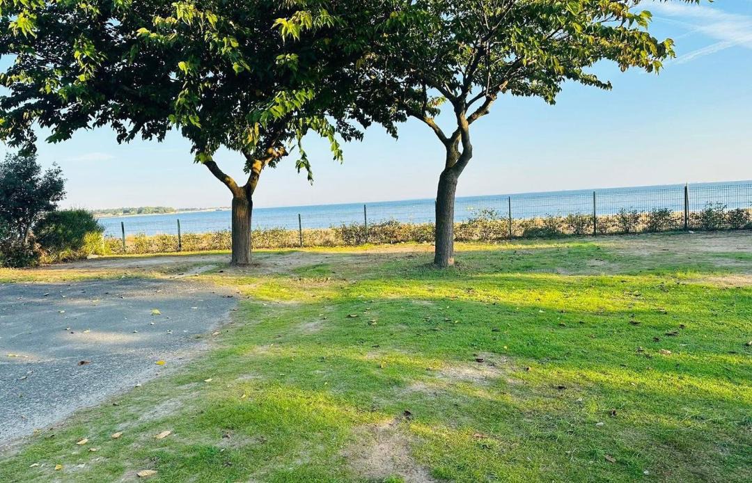 Photo of Others in Rivedoux-Plage