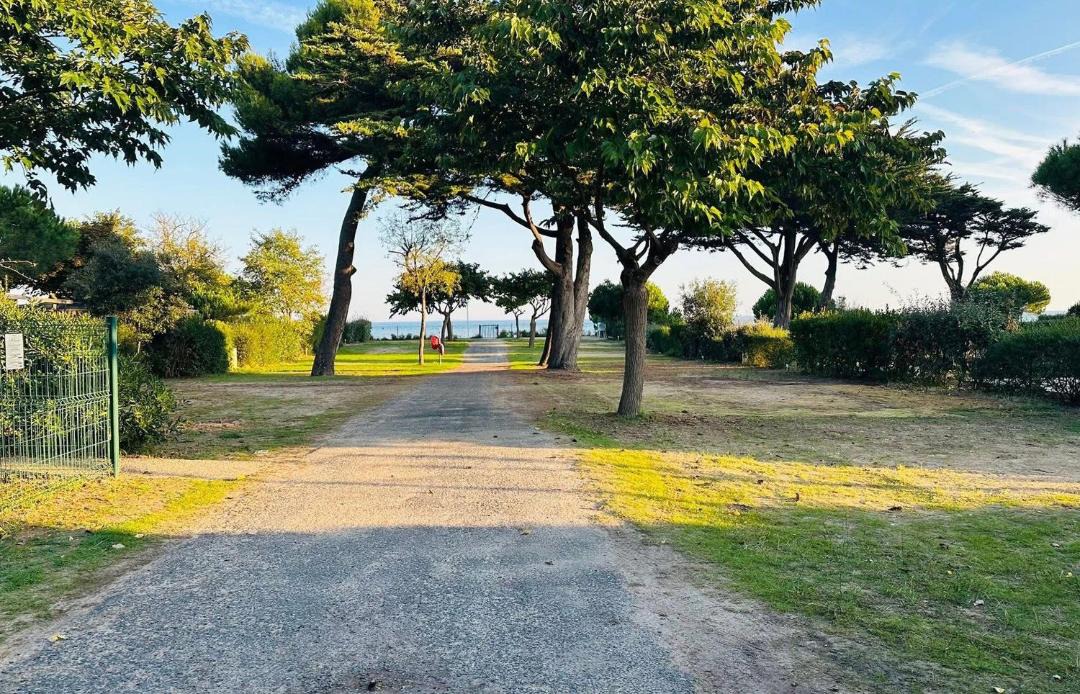 Photo of Others in Rivedoux-Plage