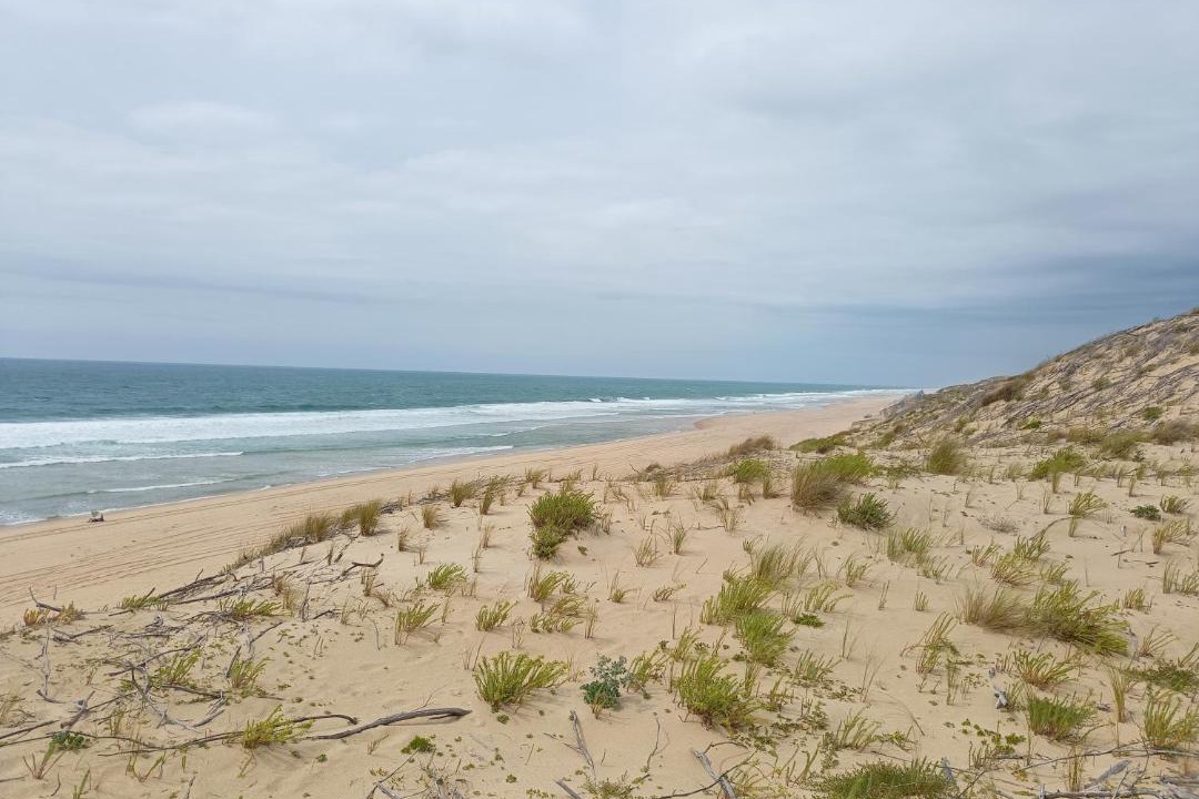 Photo of Others in Carnon-Plage