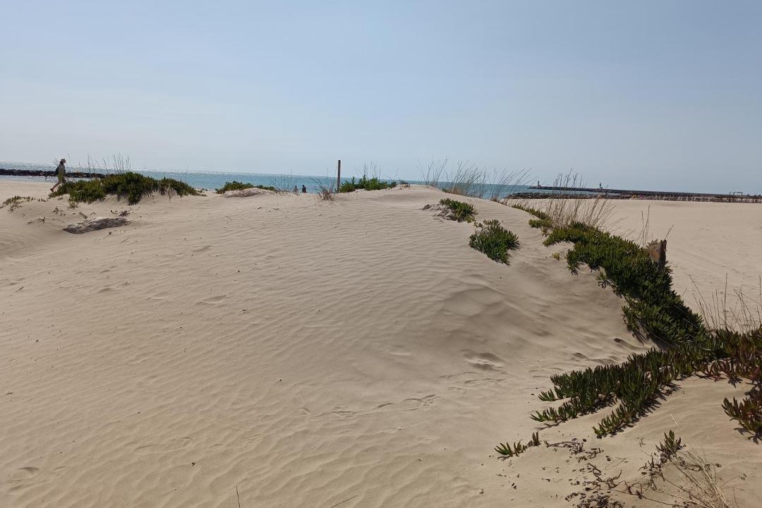 Photo of Others in Carnon-Plage