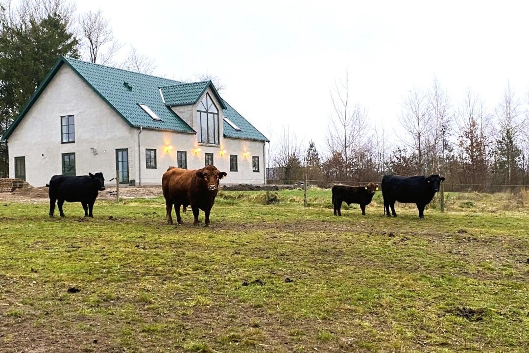 Photo of Others in Viby