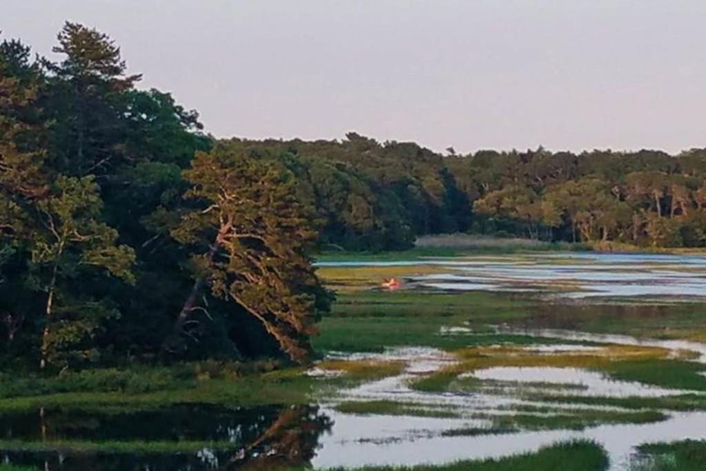Photo of Others in Pocasset