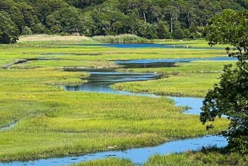 Photo of Others in Pocasset