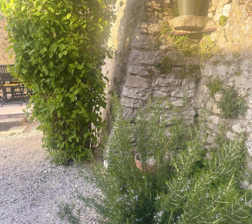 Photo of Others in Portes-en-Valdaine