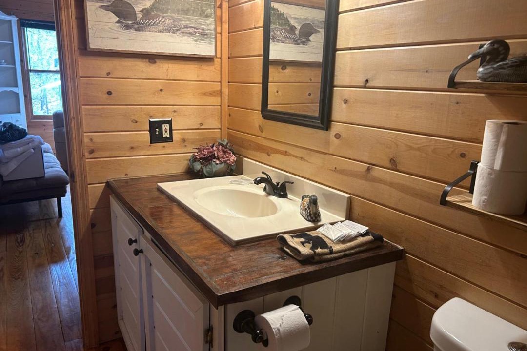 Photo of Bathroom in Turtletown
